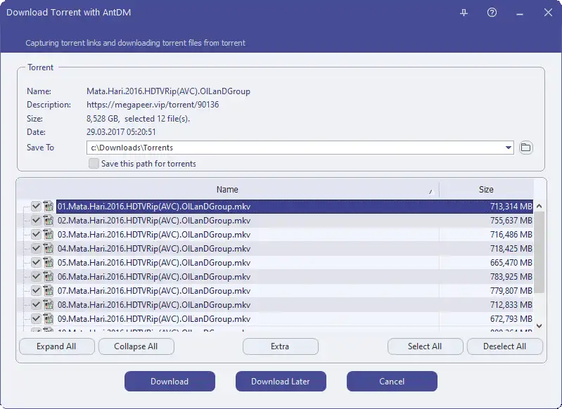 Ant Download Manager (AntDM) Select torrent download